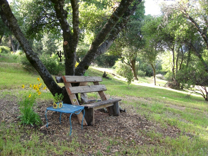 Simple Garden Bench
