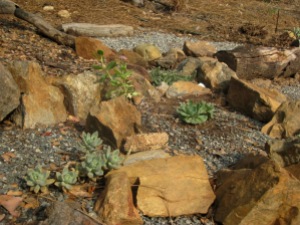 The rock garden along the gravel path