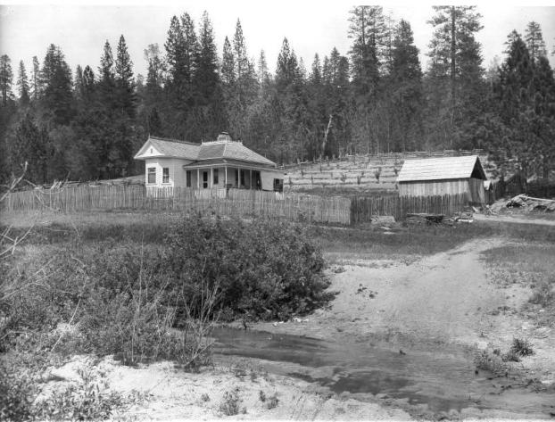 Angell's Ranch, Crane Valley, 'Madeira Co'. Cal. June 1 '03