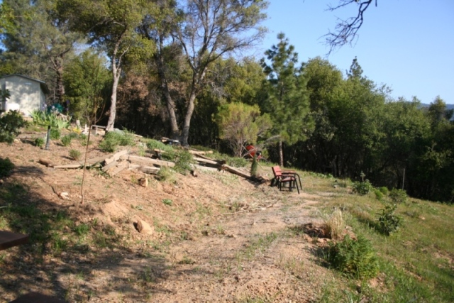 Cleared buffer area, now the CA native and salvia garden, looking toward the forest