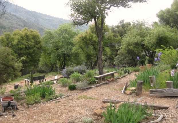 Three levels, from right, cultivated Mediterranean and native plants, below path, introduced natives and beyond the bench, natural