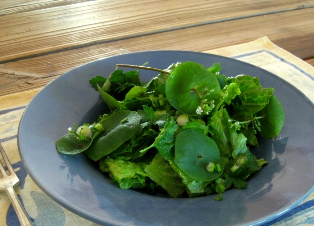 Miner's lettuce is in high demand in fine restaurants and if Hubby like its, we'll have it more. Why not?