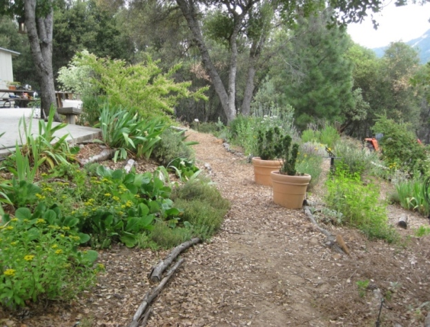 Middle garden path