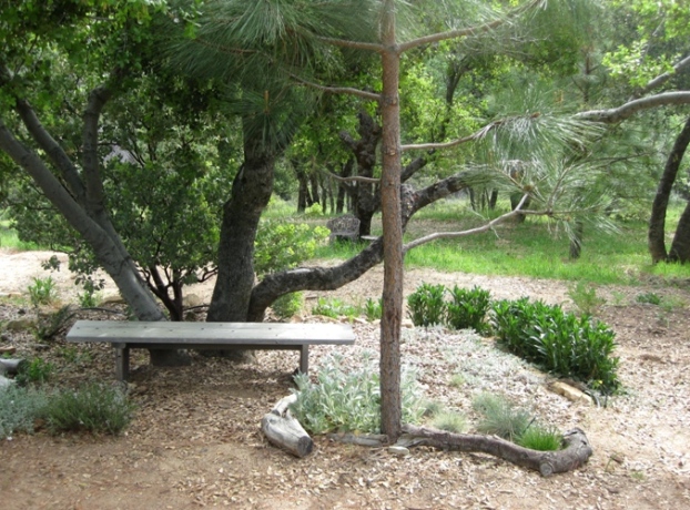 Bench under the oak, another easy 'one-board' bench