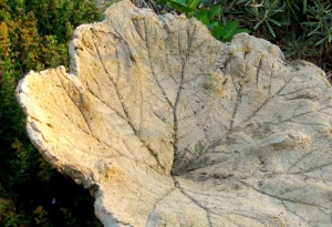 The concrete shows all the veins of the leaf.
