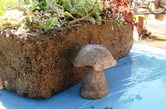 With a bit of the extra cement mix, I molded up a tiny mushroom.