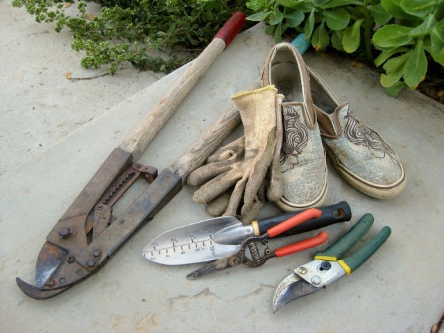 Favorite tools and shoes