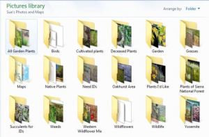 Plant and wildlife files
