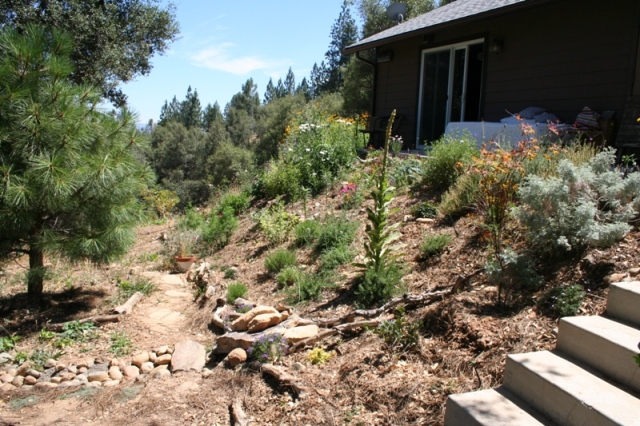 2007 Summer Dry creek shows where water flows from downspouts.hows steep bank