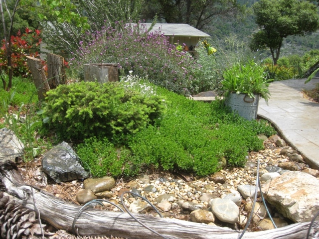 2011 Spring Summer- Dry creek and rain garden