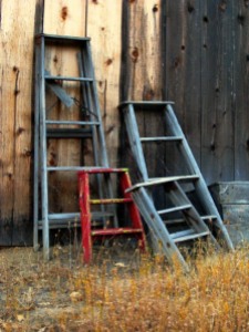 Collection of old ladders