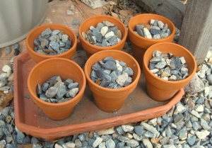 Gravel in pots